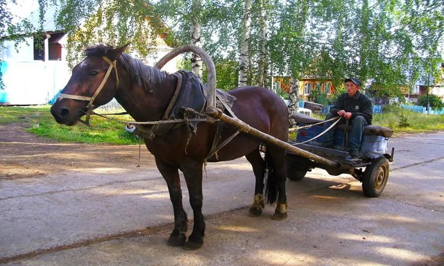 В России снова стали популярны русские печки