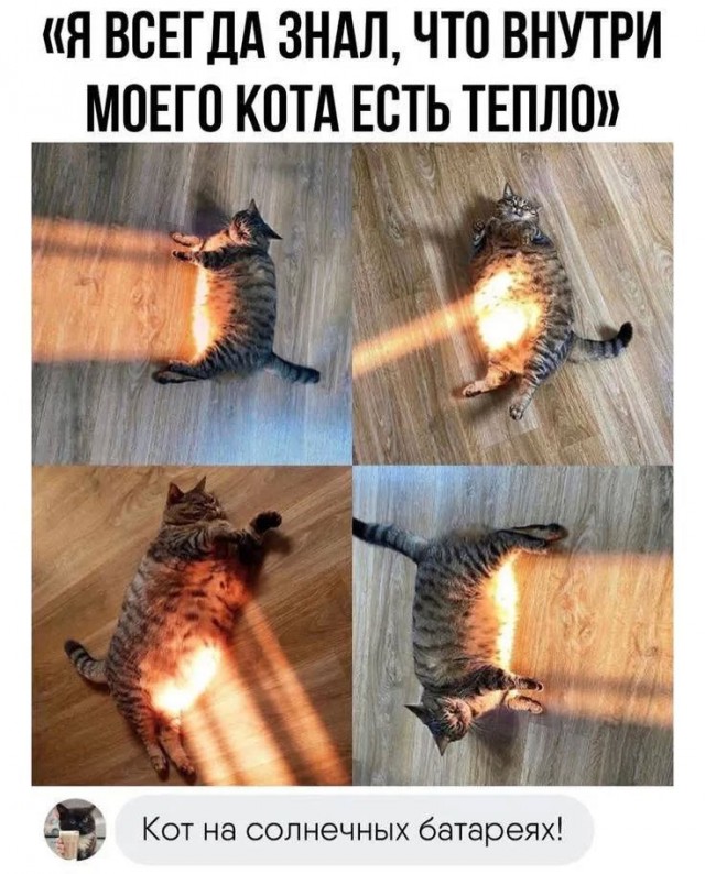 Завалялось тут случайно немного забавных картинок
