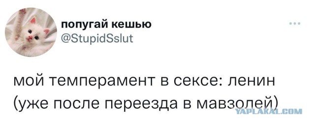 Картинки всякие, новые и старые