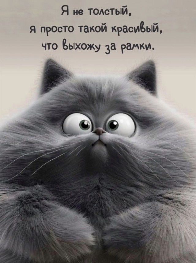 Весёлый полтишок 27.02.2025