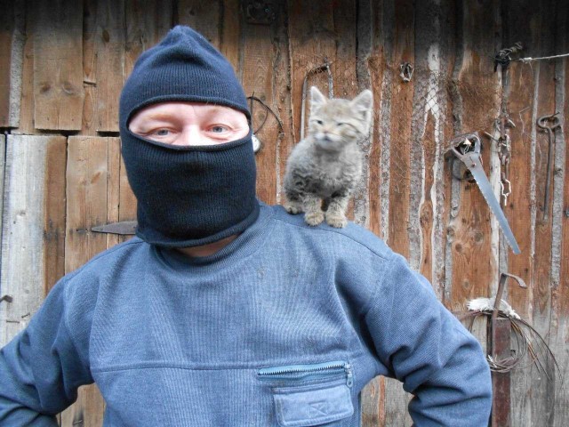 Что я узнал, переехав из города в деревню