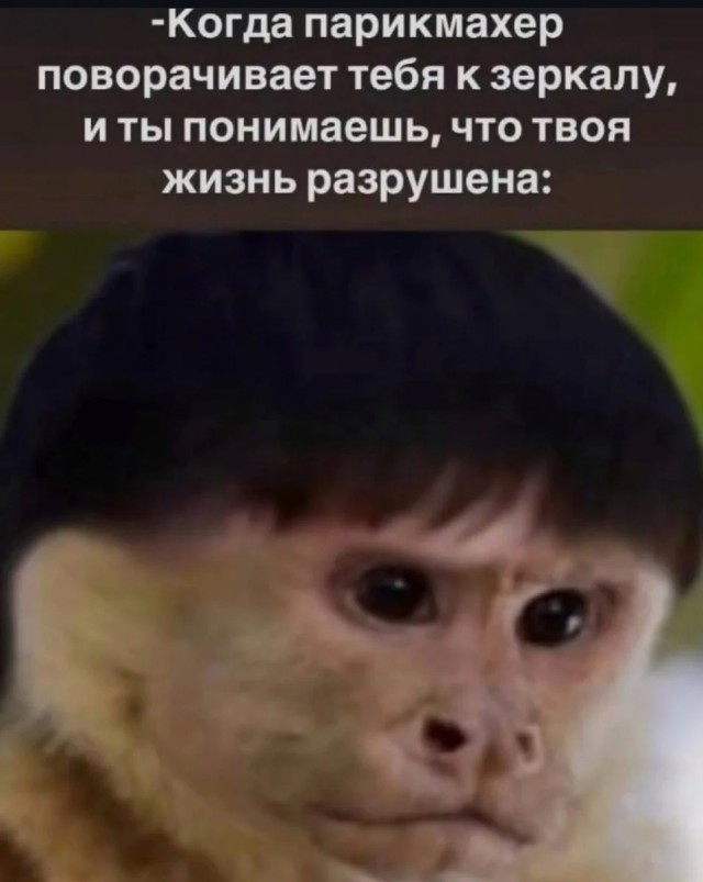 Юмор и порой философия в картинках с буквами за вторник