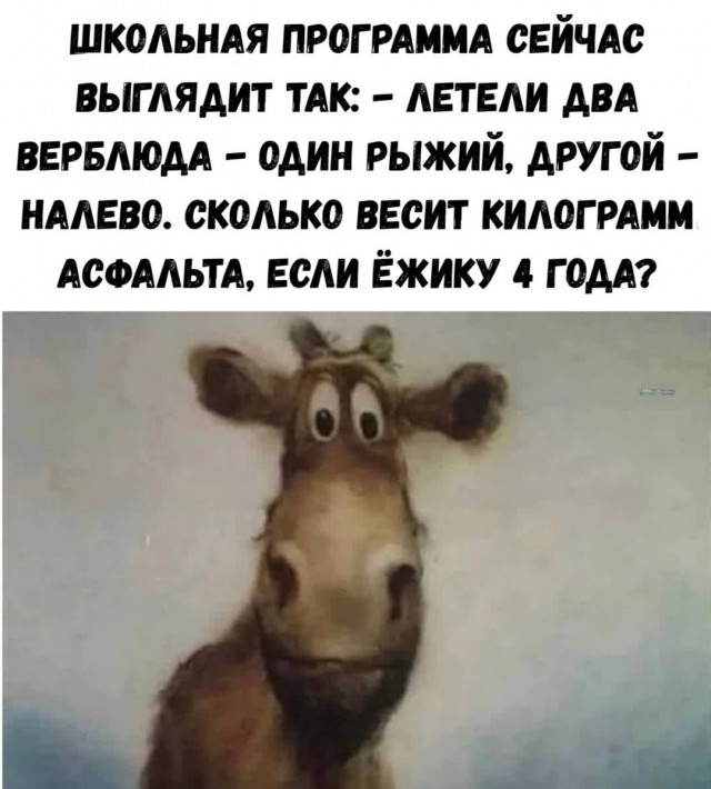 Завалялось тут случайно немного забавных картинок