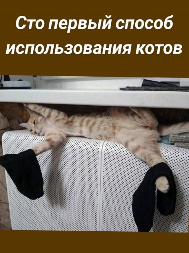 Так себе картинки 05.08.25