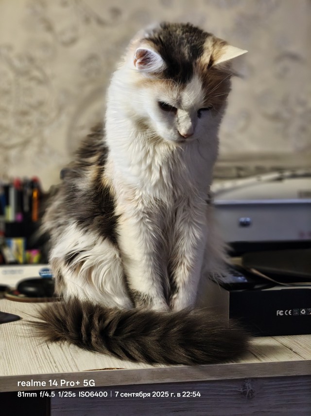 Я не косая, я раскосая