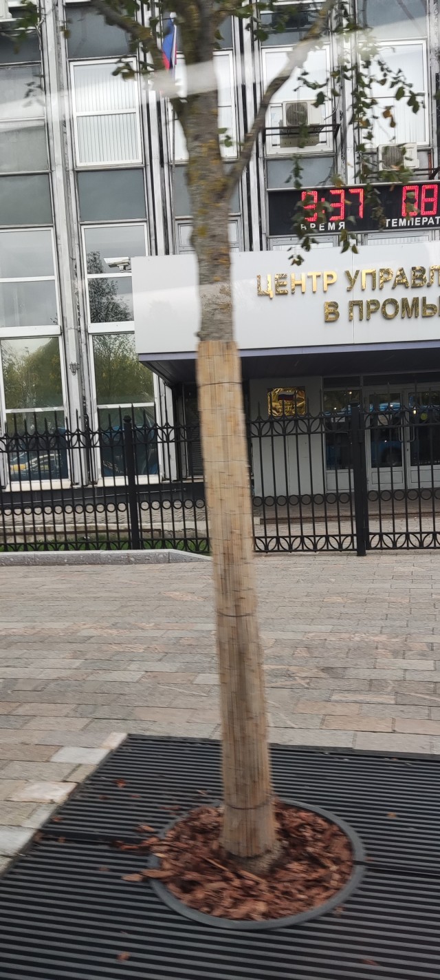 А как вы начинает это утро ?