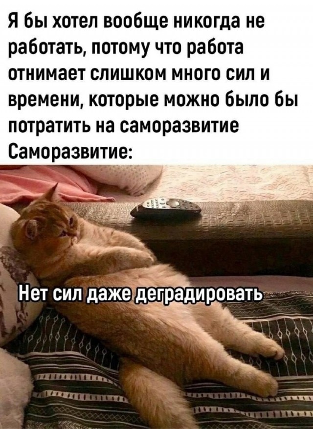 Картинки для деградации 50 (разной степени свежести)