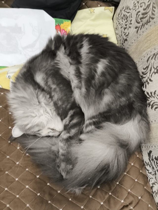 Тихон