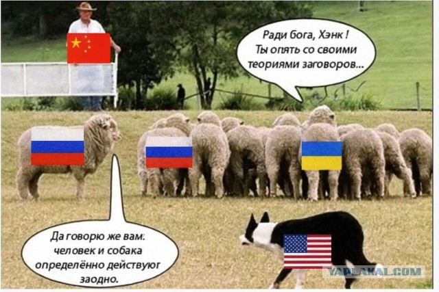 Ещё один интересный взгляд на СВО и его причины