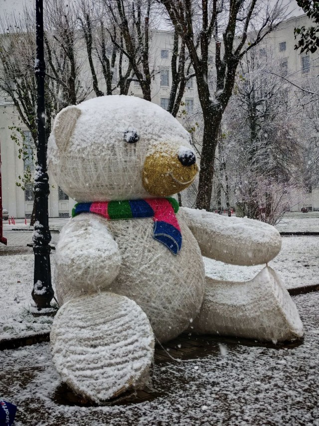 Зима пришла в Беларусь
