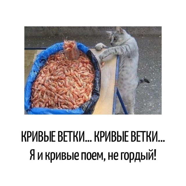 Игра слов в картинках 02.01.26