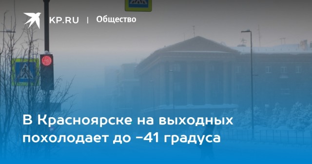 Жизнь домашнего приюта для котеек 569