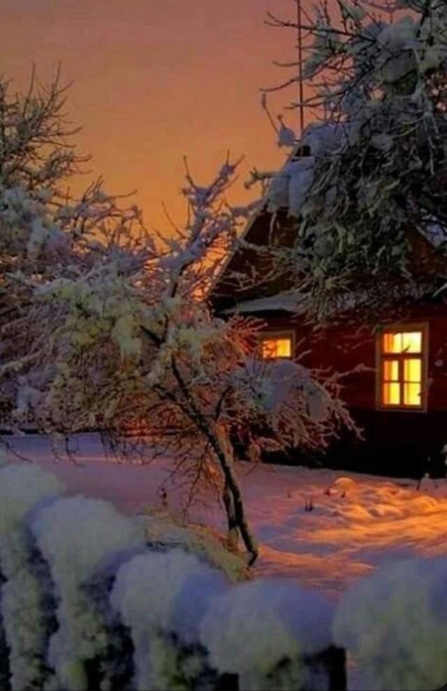 Прикольные и просто красивые картинки 06.02.2026