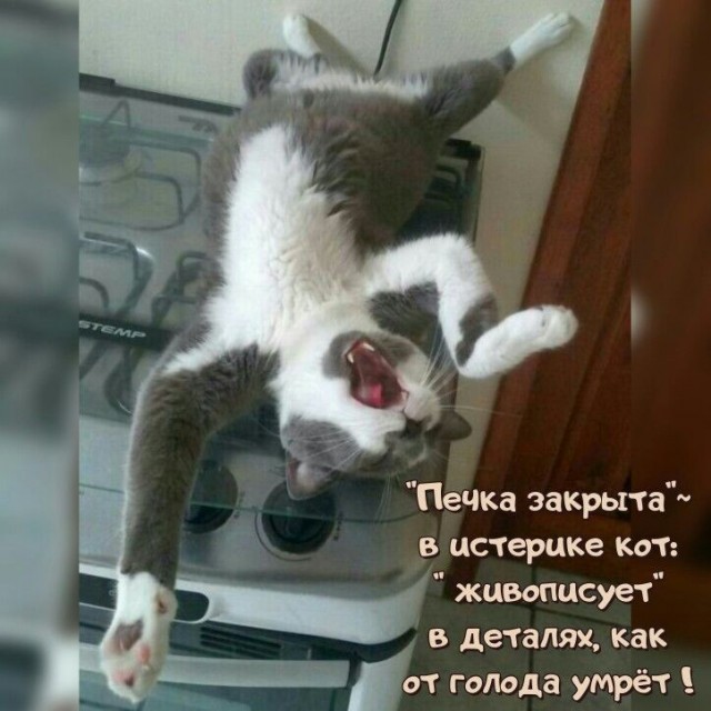 Немного картинок на ночь