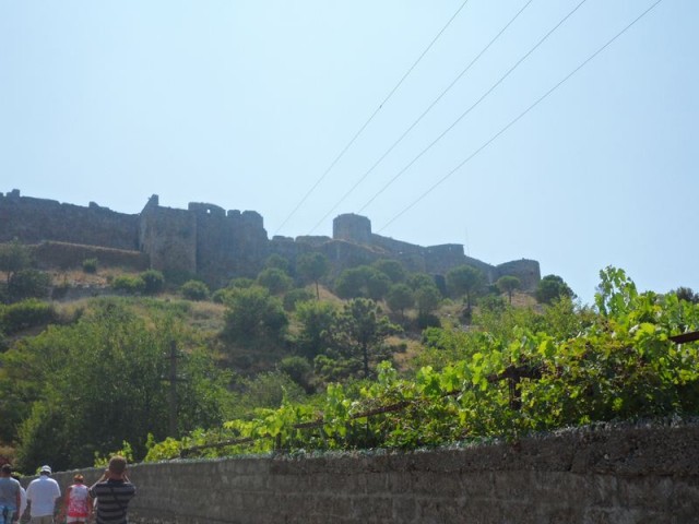 Албания 2013
