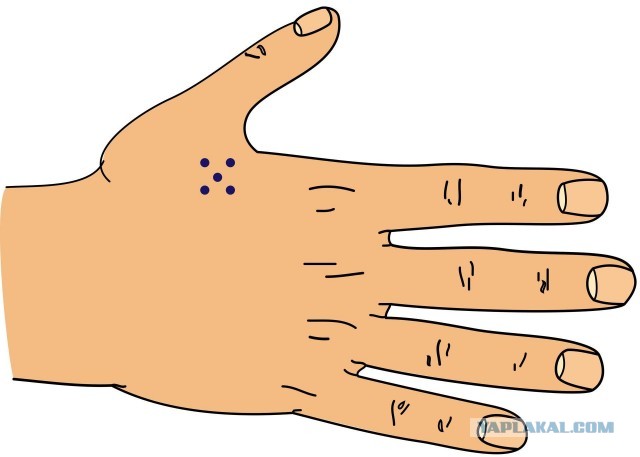 Хлеб испортился