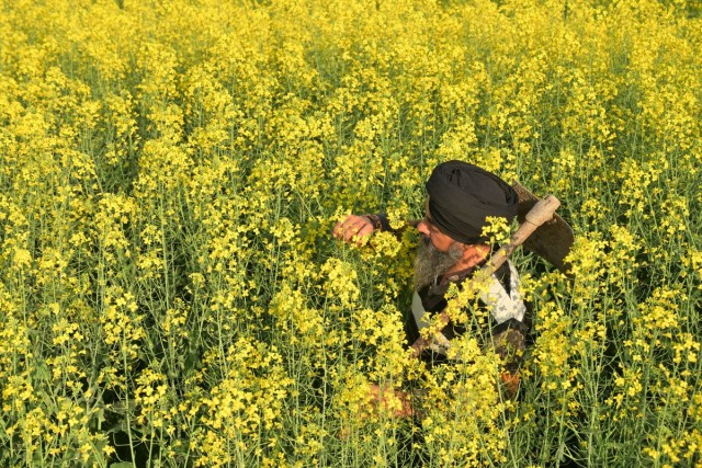 Индия в объективе фотографов