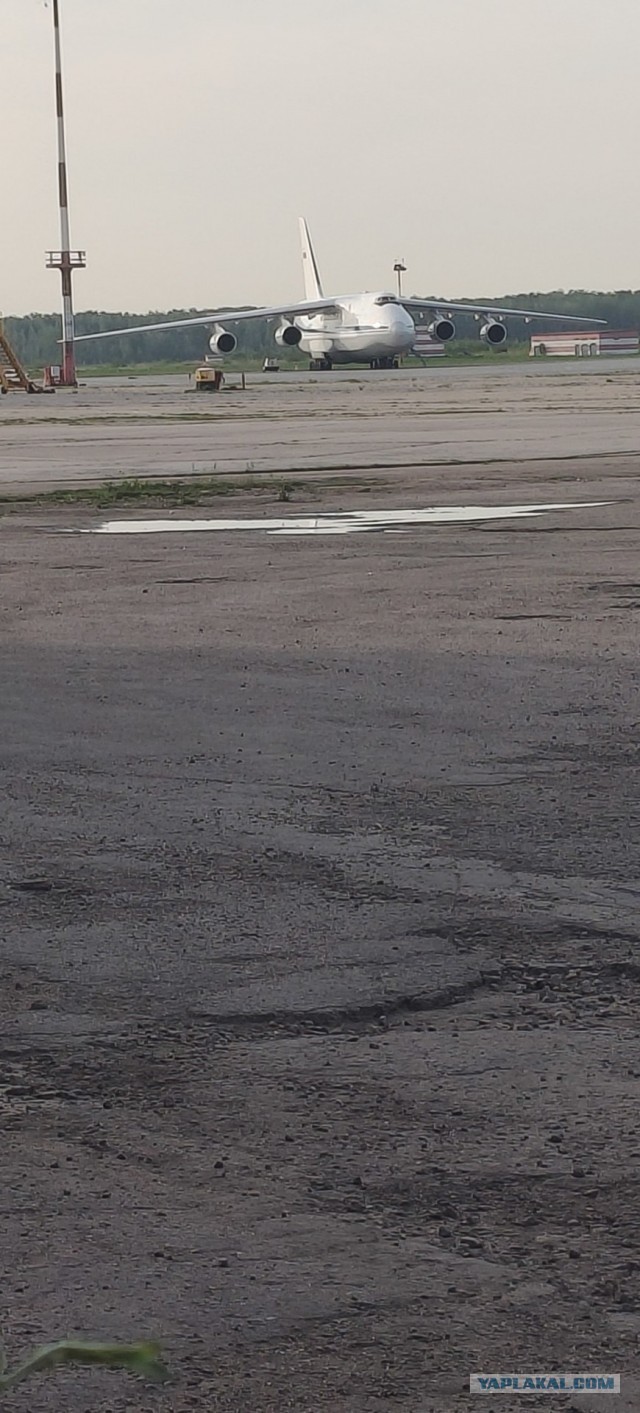 Дачники кайфуют, но это не точно.