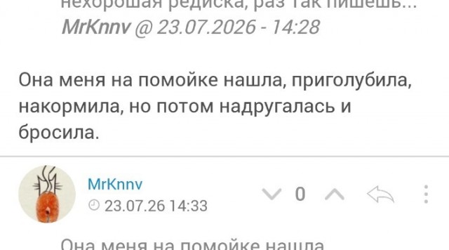 Выкинули новую дверь