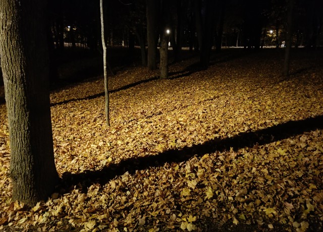 Смело топчу я ногой внешнюю леса красу...