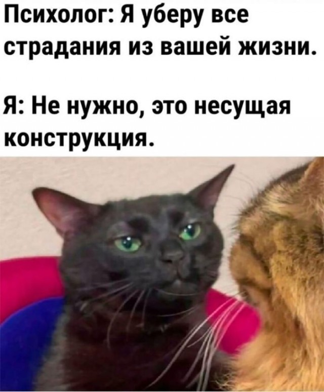 Картинки для деградации 301 (разной степени свежести)