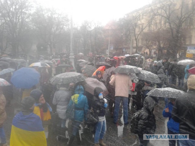 Майдан 2013, Киев