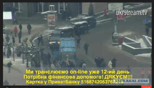 Беркут пошел на штурм