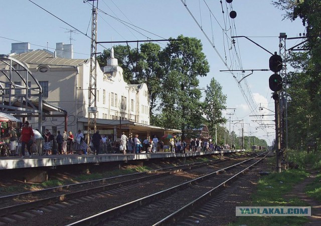 Удельный рынок в Санкт- Петербурге