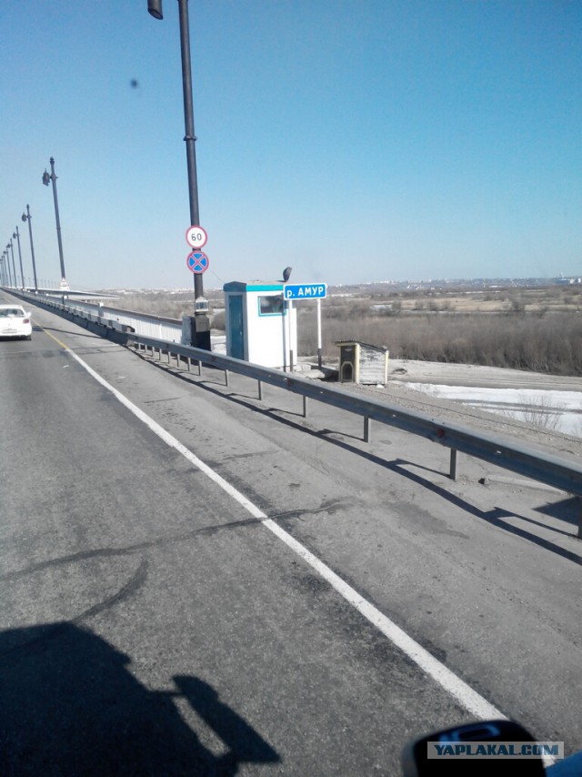 Озеленение Владивостока.