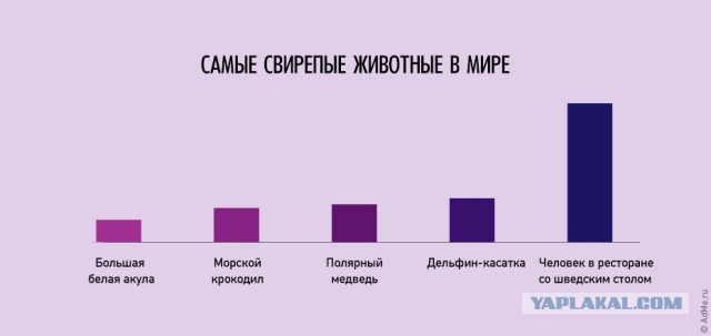 17 самых смертоносных существ