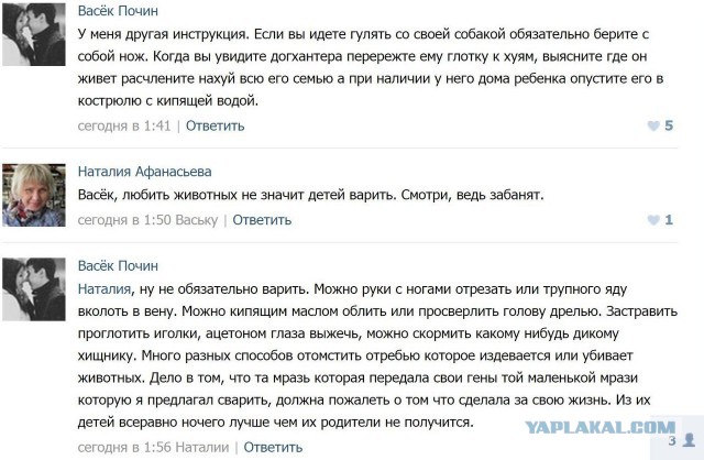 Терпение лопнуло: жители Петербурга, устроили расправу над догхантерами