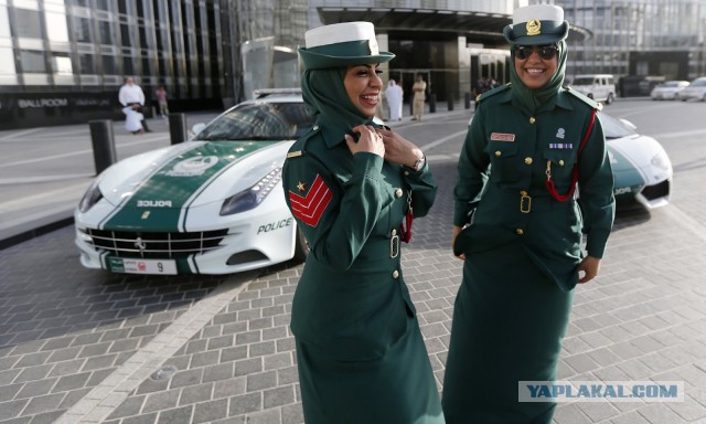 На чем полиция Дубая патрулирует улицы