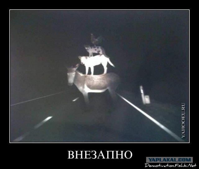 Демотиваторы вторника