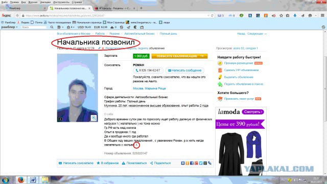 Смешные комментарии из социальных сетей