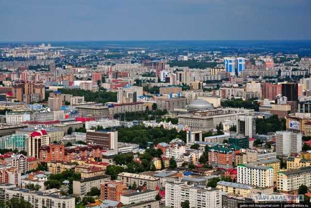 Когда деревья были большими