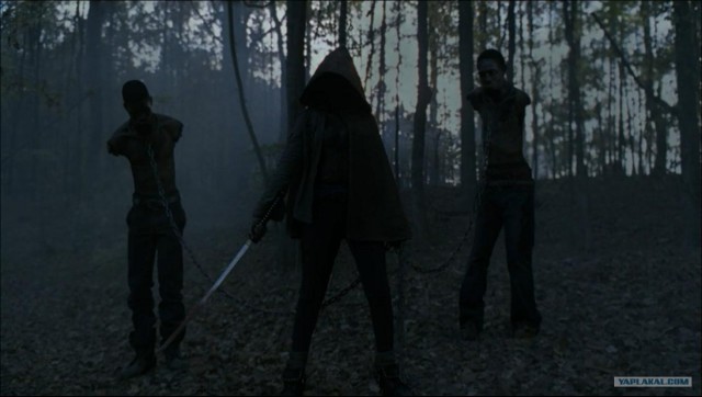 Итоги одного следствия