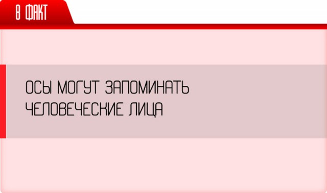 25 неожиданных фактов о нашей жизни