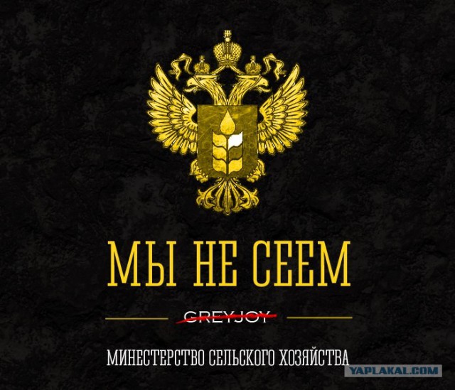 Ходят ли депутаты и чиновники за продуктами