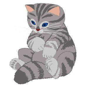 Вторничный котомёт