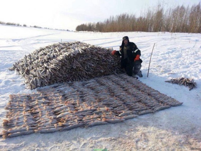 А ты любишь зимнюю рыбалку? Тогда смотри