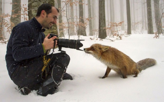 Дикие компаньоны фотографа-натуралиста