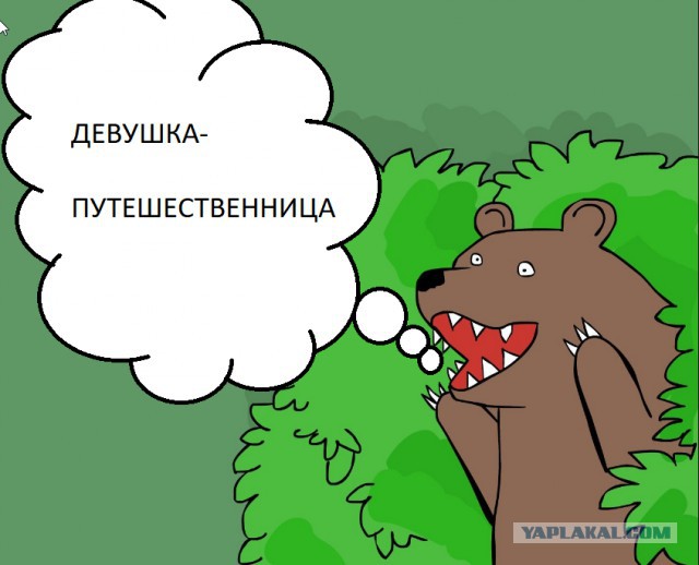Карта размеров членов