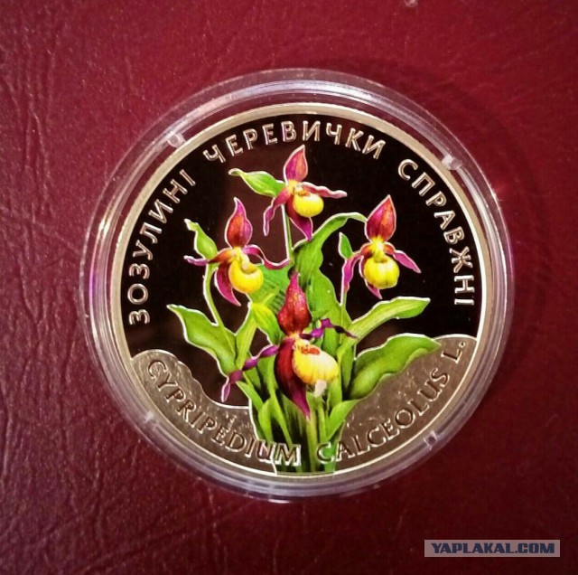 Интересные и красивые деньги