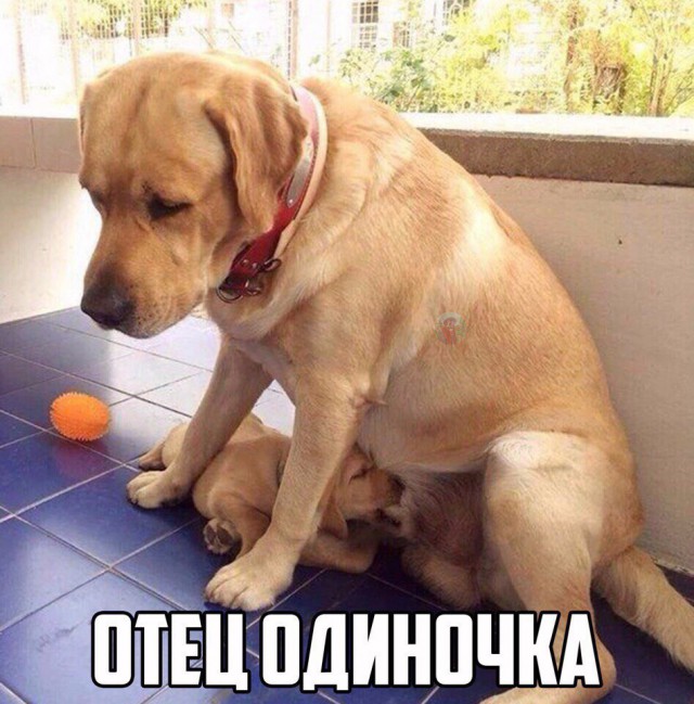 22 картинки с надписями на разные темы