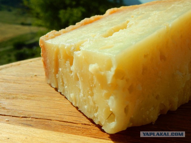 Паста с лагенарией змеевидной