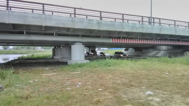 Дураков у нас на сто лет припасено