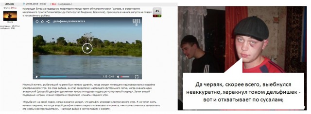 Амазонские дельфины «поиграли в футбол» электрическим угрем на реке в Бразилии