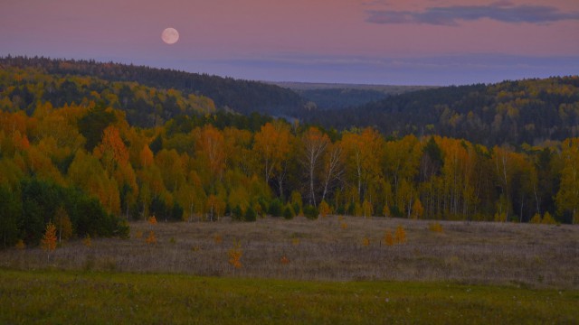 Осенняя тайга