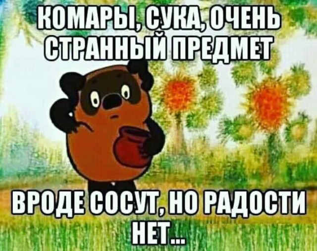 Чернушки вот вам принёс