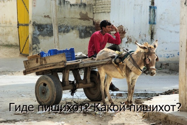 Суровый московский говор